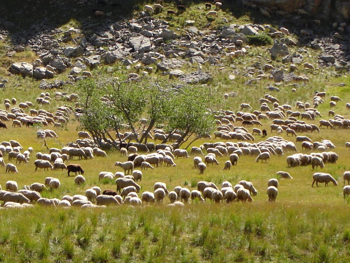 La Petite Etoile D'Hotes En Mercantour Saint-Dalmas-le-Selvage Екстер'єр фото