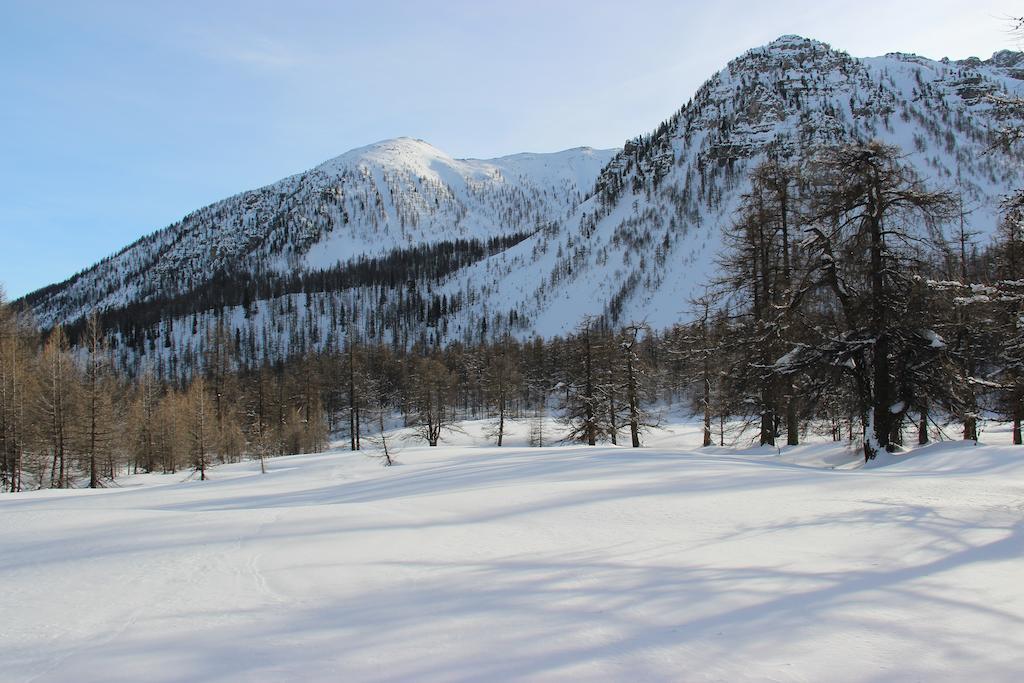 La Petite Etoile D'Hotes En Mercantour Saint-Dalmas-le-Selvage Екстер'єр фото