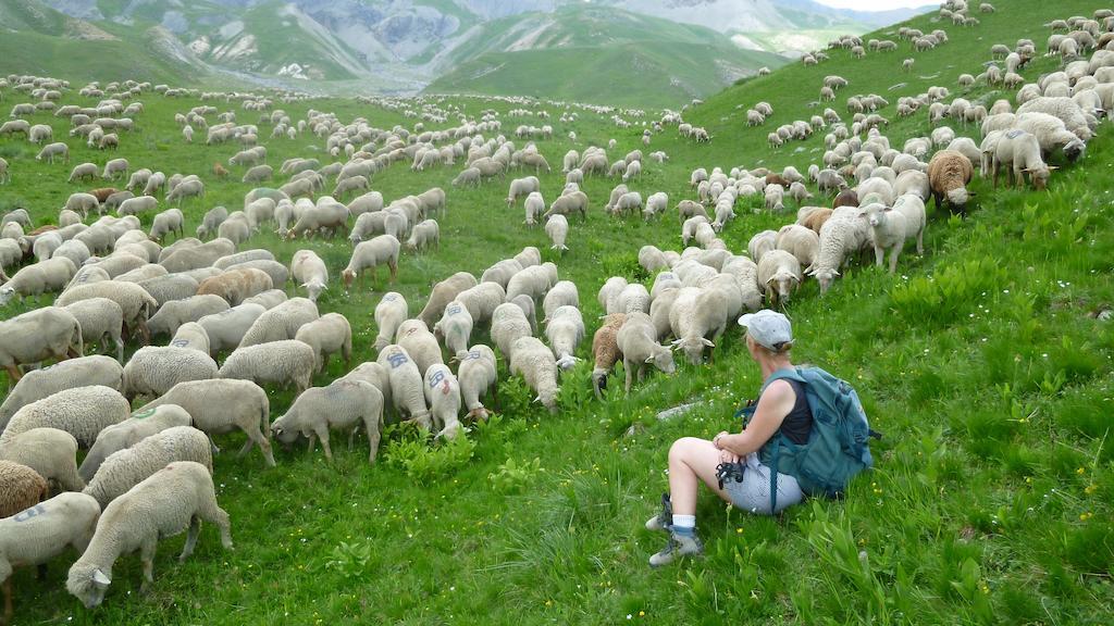 La Petite Etoile D'Hotes En Mercantour Saint-Dalmas-le-Selvage Екстер'єр фото